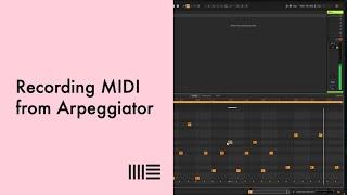 Live Tips: Recording MIDI from Arpeggiator