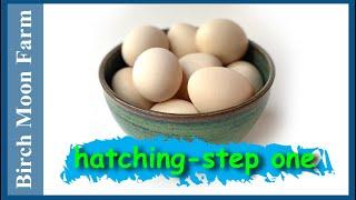 Egg Hatching Step by Step | Setting up your incubator | Birch Moon Far is a simple living homestead