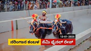 Naringana Kambala Semi Final race 2025 | ನರಿಂಗಾನ ಕಂಬಳ ಸೆಮಿಫೈನಲ್ ರೇಸ್