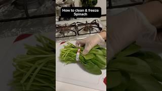 How to make spinach clean and then freeze it #spinach #shorts