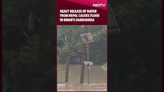 Bihar Floods | Heavy Release Of Water From Nepal Causes Flood In Bihar's Darbhanga