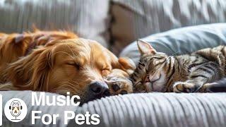 Healing Music For Stressed Dog & Cat! Music That Give COMFORT To Pet |Anxiety Relief, Deep Sleep