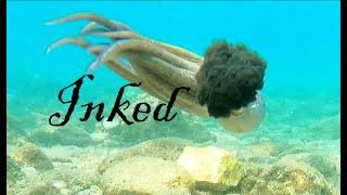 snorkeling Greece | 4K