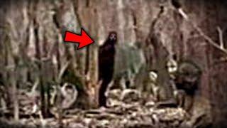 Top 5 Scary Videos That'll Shock EVERYONE!