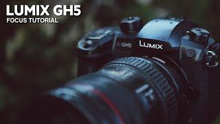 NAIL your Lumix GH5 Focus (GH5 Tutorial)