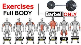 Full Body Barbell WORKOUT home(squats, chest, triceps, biceps, back, shoulder, wrist, Abs, oblique)