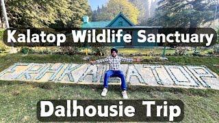 kalatop dalhousie | Kalatop Wildlife Sanctuary | Dalhousie Trip 2024 | Places to Visit in Dalhousie