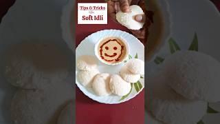 Tips & Tricks for soft and spongy idli |దూది లాంటి ఇడ్లీ కోసం సింపుల్ చిట్కాలు #idli #ytshorts #food