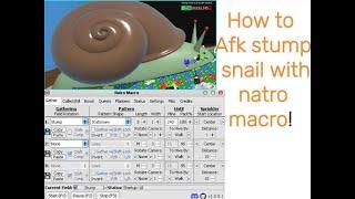 How to afk the stump snail with natro macro! (Bee Swarm Simulator)