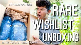 Etsy Unboxing Uncommon Rare Houseplants | I Got Two of my Wishlist Plants on Etsy I Can't Believe It