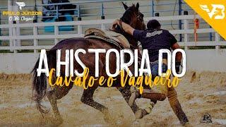 A Historia do Cavalo e o Vaqueiro - Paulo Junior (Video Clipe Vaquejada) V.B Official