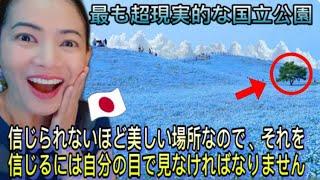 この世には死ぬ前に訪れなければならない場所がいくつかあります。信じられないほど美しい場所なので、それを信じるには自分の目で見なければなりません #海外の反応 #japantravel