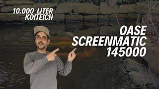 Oase BioTec ScreenMatic am 10.000Liter Koi Teich