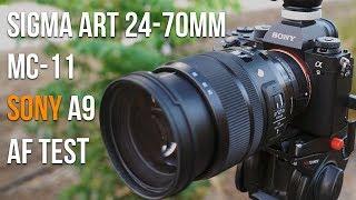 Sony a9 + Sigma 24-70mm f/2.8 ART + MC-11 Photo AutoFocus Test