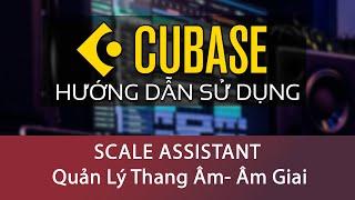 08 Cubase:  Chức Năng Scale Assistant Quản Lý Thang Âm  - Âm Giai Trong Bản Phối