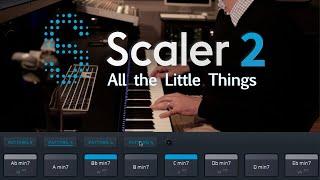 Scaler 2 | All the Little Things