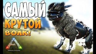 Самый крутой волк в игре! - Ark Survival Evolved Prometheus #14