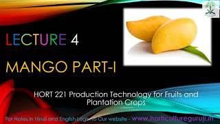 #HORT221 | Lecture 4 Mango Part 1 | आम