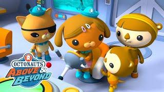 Octonauts: Above & Beyond - Go Girl Team! | International Women's Day |  @OctonautsandFriends​