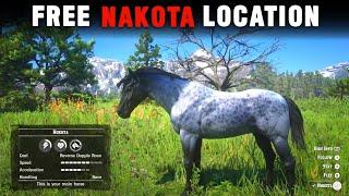 How to get a free Nakota race horse with location - RDR2