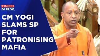 Showdown Inside U.P Assembly, CM Yogi Slams Samajwadi Party For Patronising Mafia Raj | Times Now