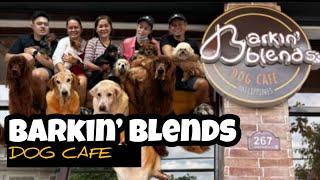 Dog Cafe in the Philippines | BARKIN’ BLENDS