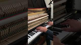 Erwan Raguenes - "Pierre" (Felt piano)