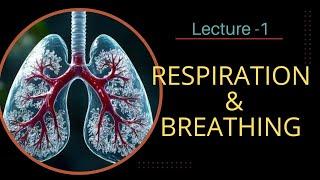 HUMAN PHYSIOLOGY: RESPIRATION & BREATHING.. (Lecture -1).... Neet UG 2025