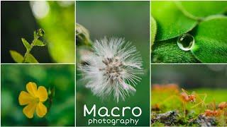 Macro photography ideas / Mobile photography