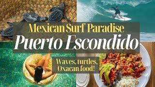 Puerto Escondido, Oaxaca: Surfing and Saving Sea Turtles