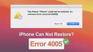 iPhone Can Not Restore? How to Fix iPhone Error 4005 Without Losing Data  | iToolab FixGo