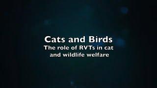 *Cats and Birds* The Role of RVTs in Cat and Wildlife Welfare