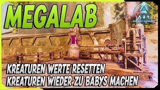 Kreaturen wieder zum Baby machen ! Kreaturen Skill Punkte Resetten uvm | Das Megalab in ARK Ascended