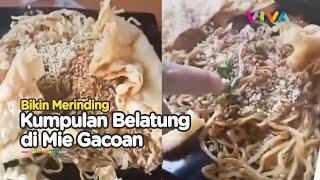 Konsumen Mie Gacoan Bikin Geger, Belatung Menggeliat di Piring Pesanan