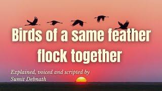 Birds Of A Same Feather Flock Together Proverb Expansion | Life Changing Video 