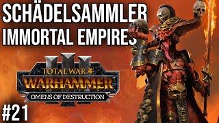 SCHÄDELSAMMLER in Immortal Empires #21 | Let's Play Total War: Warhammer 3 OMENS OF DESTRUCTION