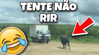 TENTE NÃO RIR: OS MELHORES VÍDEOS DA INTERNET: #videosengraçados #tentenaorir #humor #tiktok #memes