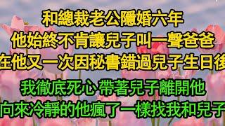 和總裁老公隱婚六年，他始終不肯讓兒子叫一聲爸爸，在他又一次因秘書錯過兒子生日後，我徹底死心 帶著兒子離開他，向來冷靜的他瘋了一樣找我和兒子|暖風故事會|愛情|婚姻|都市|豪門|霸總|