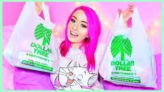 Dollar Tree Haul 2019