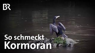 Von der Jagd auf den Teller: Geschmorter Kormoran | Zwischen Spessart und Karwendel | BR