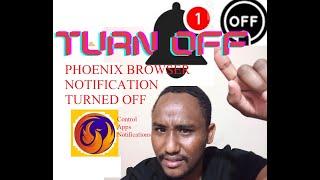 HOW TO TURN OFF ANDROID APP NOTIFICATIONS (PHOENIX BROWSER NOTIFICATIONS)