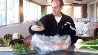 What's this fruit/vegetable? Organic CSA Box #8