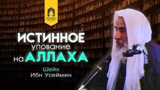 Если бы вы уповали на Аллаха таким образом || Шейх ибн Усеймин (رحمه الله)