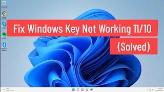 Fix Windows Key Not Working Windows 11/10