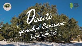 Sigue en directo el Ganador del Concurso del Árbol Europeo 