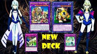 (YGOPRO)Amazoness DECK,Amazoness Hot Spring, Amazoness Hall,Grace and Gloria,AnimationChronicle 2022