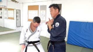 Grandmaster Choi Kil Bong. Daehan Minguk Hapkido Europe