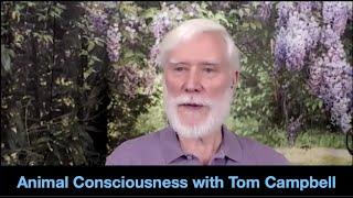 Animal Consciousness in Varied Forms with Tom Campbell