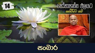 14) සංඛාර | සෝතාපන්න ඵලයට පත්වීමට නම්