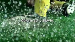 Sony Latin American - Bravia Color.mov